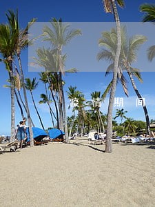 疫情期间银行贷逾期 疫情期间银行贷逾期