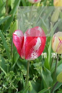 疫情期间银行还贷逾期 疫情期间银行还贷逾期