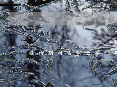 疫情期间驾证逾期1年了 疫情期间驾证逾期1年了