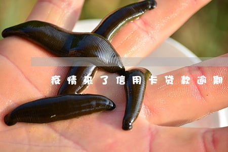 疫情来了信用卡贷款逾期 疫情来了信用卡贷款逾期