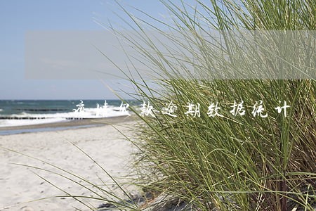 疫情欠款逾期数据统计 疫情欠款逾期数据统计