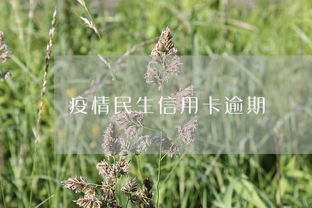 疫情民生信用卡逾期 疫情民生信用卡逾期