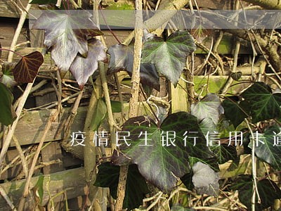疫情民生银行信用卡逾期好协商吗