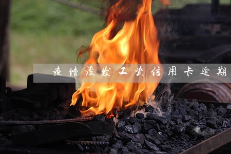 疫情没发工资信用卡逾期 疫情没发工资信用卡逾期