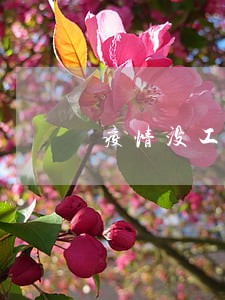 疫情没工作信用卡逾期