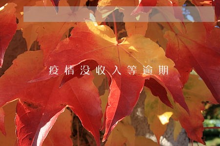 疫情没收入等逾期