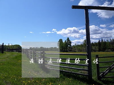 疫情法律援助宣传 疫情法律援助宣传