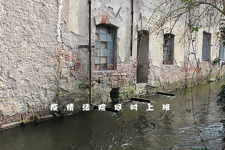 疫情法院何时上班 疫情法院何时上班