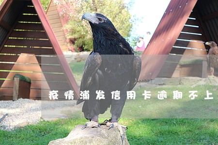 疫情浦发信用卡逾期不上征信了吗 疫情浦发信用卡逾期不上征信了吗
