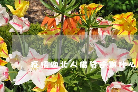 疫情湖北人借贷逾期什么 疫情湖北人借贷逾期什么