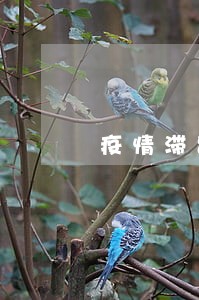 疫情滞留美国再次逾期怎么办 疫情滞留美国再次逾期怎么办