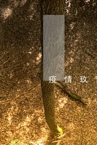 疫情玖富万卡逾期上征信吗 疫情玖富万卡逾期上征信吗