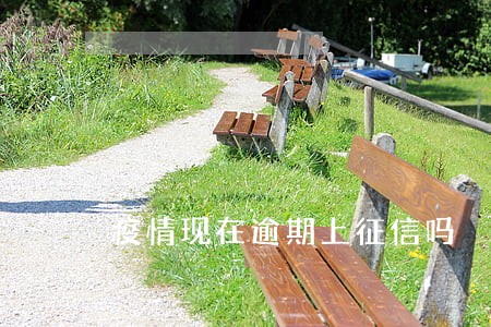 疫情现在逾期上征信吗 疫情现在逾期上征信吗