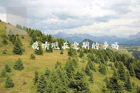 疫情现在逾期的多吗