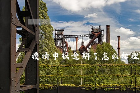 疫情申报逾期了怎么处理 疫情申报逾期了怎么处理