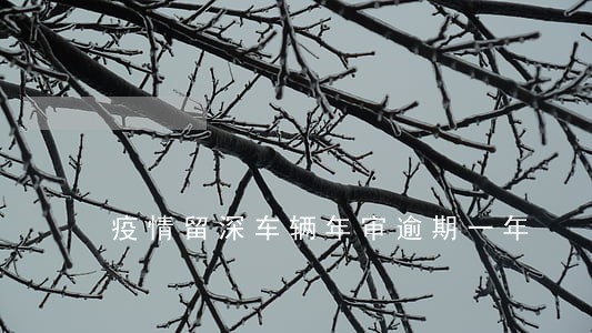 疫情留深车辆年审逾期一年 疫情留深车辆年审逾期一年
