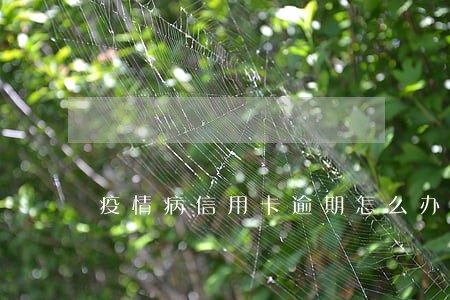 疫情病信用卡逾期怎么办
