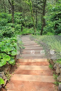 疫情破产了逾期 疫情破产了逾期