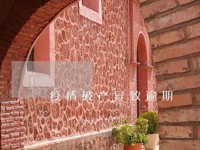 疫情破产导致逾期 疫情破产导致逾期