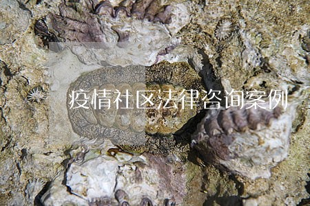 疫情社区法律咨询案例