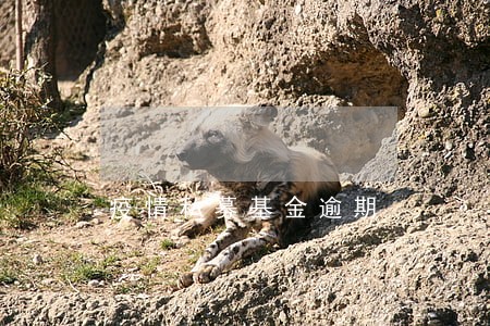 疫情私募基金逾期 疫情私募基金逾期