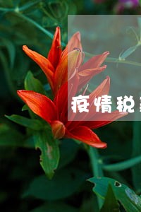 疫情税款逾期滞纳金 疫情税款逾期滞纳金