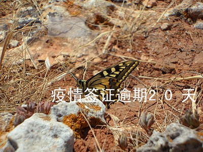疫情签证逾期20天 疫情签证逾期20天