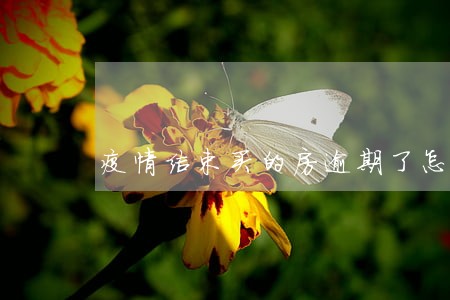 疫情结束买的房逾期了怎么办 疫情结束买的房逾期了怎么办