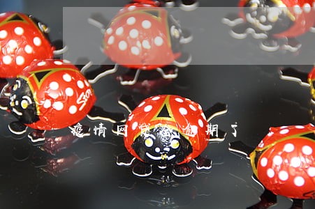 疫情网贷全逾期了 疫情网贷全逾期了