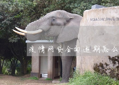 疫情网贷全面逾期怎么办 疫情网贷全面逾期怎么办