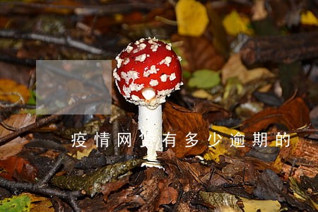 疫情网贷有多少逾期的 疫情网贷有多少逾期的