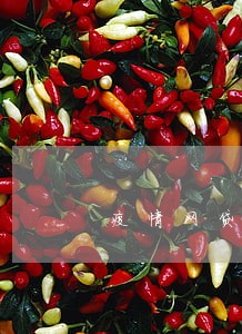 疫情网贷逾期2个月严重么 疫情网贷逾期2个月严重么