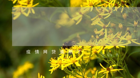 疫情网贷逾期了 疫情网贷逾期了