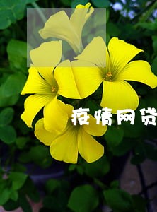 疫情网贷逾期后无力偿还 疫情网贷逾期后无力偿还