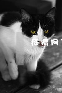 疫情网贷逾期如何申请征信异议 疫情网贷逾期如何申请征信异议