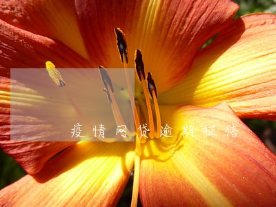 疫情网贷逾期征信 疫情网贷逾期征信