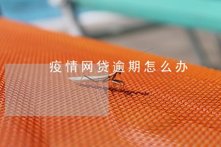 疫情网贷逾期怎么办 疫情网贷逾期怎么办