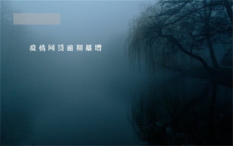疫情网贷逾期暴增 疫情网贷逾期暴增