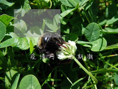 疫情网贷逾期潮 疫情网贷逾期潮