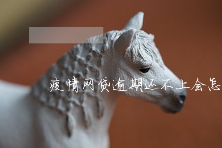 疫情网贷逾期还不上会怎么处罚 疫情网贷逾期还不上会怎么处罚
