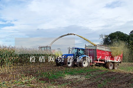 疫情网贷都逾期了催收 疫情网贷都逾期了催收