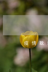 疫情耽误信用卡逾期怎么办 疫情耽误信用卡逾期怎么办