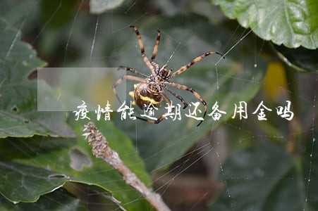 疫情能逾期还备用金吗 疫情能逾期还备用金吗
