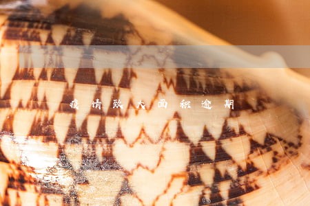 疫情致大面积逾期 疫情致大面积逾期
