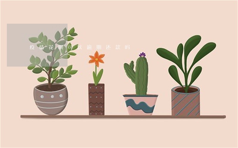 疫情花呗可以逾期还款吗 疫情花呗可以逾期还款吗