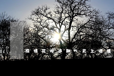 疫情花呗逾期5天上征信吗 疫情花呗逾期5天上征信吗