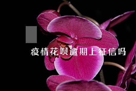 疫情花呗逾期上征信吗 疫情花呗逾期上征信吗