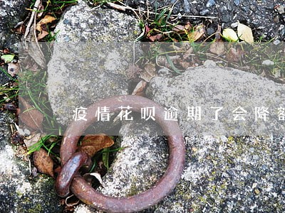 疫情花呗逾期了会降额度吗