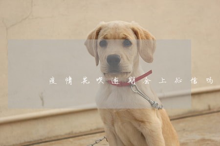 疫情花呗逾期会上征信吗 疫情花呗逾期会上征信吗