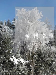 疫情花呗逾期几天没事